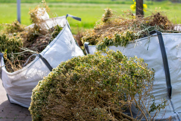 Best Construction Debris Removal  in Chesapeake Ranch Estates, MD